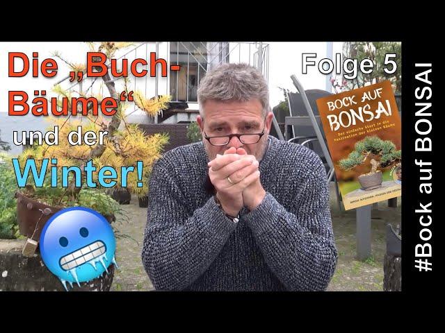 Bock auf Bonsai - Folge 5 - Die "Buch-Bäume" und der Winter!