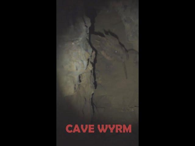 Cave Wyrm