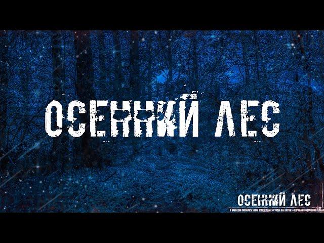 ОСЕННИЙ ЛЕС! Страшные Истории На Ночь