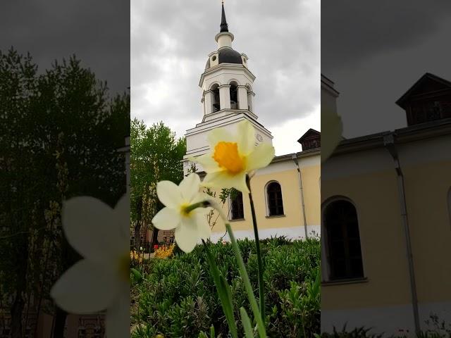 Колокольный звон в храме Покрова в Красном селе (XXII МПФ) -   Марат Капранов (г. Санкт-Петербург)