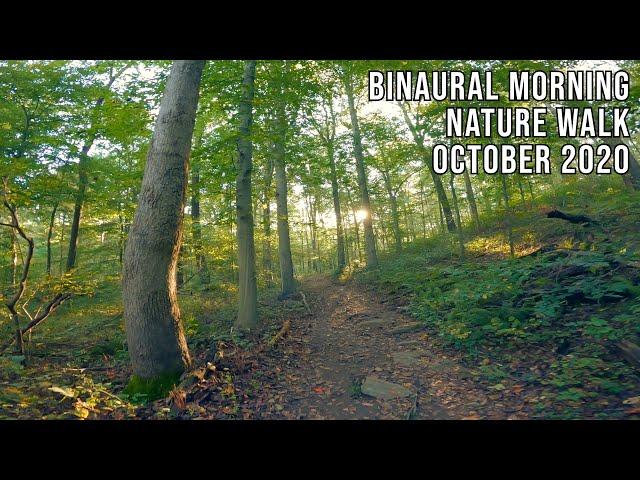 Binaural Morning Nature Walk (No speaking or music) (October 2020)