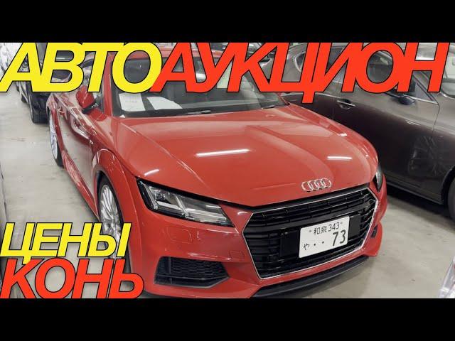 ЯПОНЦЫ ВЗВИНТИЛИ ЦЕНЫ ПЕРЕД ОКТЯБРЕМ  / BMW 2 AUDI TT TOYOTA SIENTA SUBARU LEVORG