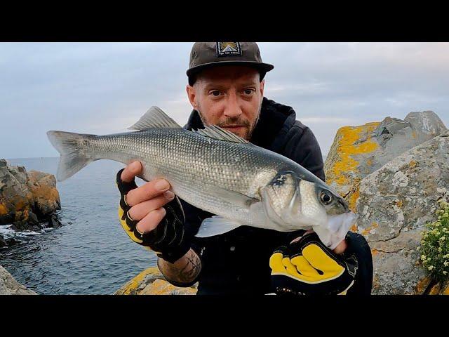 CASTING LURES FOR BASS USING THE SAMSON EXPANSE LS 15-60G ROD | FISHING WITH CAL