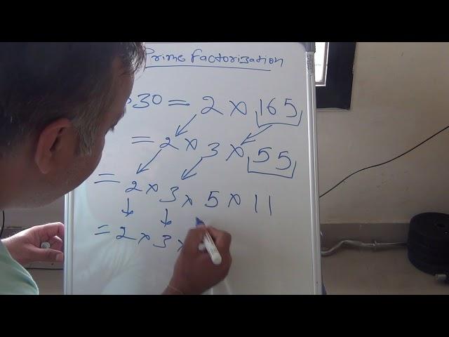 prime factorization by prime factor method