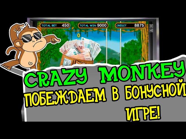 Автомат Игра на Автомате Crazy Monkey! Побеждаем Шизоидов в Бонусной Игре!