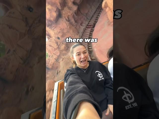 The scariest ride in the world! #rides #disney #shorts #comedy