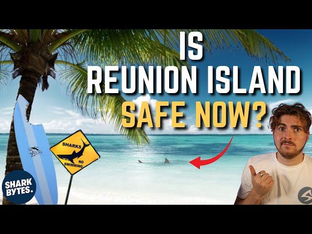 Is It SAFE To Go Back To REUNION ISLAND? Shark Scientist Opinion.