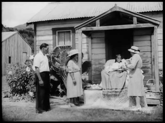 Tuberculosis and the Maori People of the Wairoa District (1952)