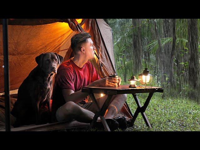 Gloomy SOLO Camping IN RAIN [ Relax, Sleep in a Cosy Tent | Comfort ASMR ]