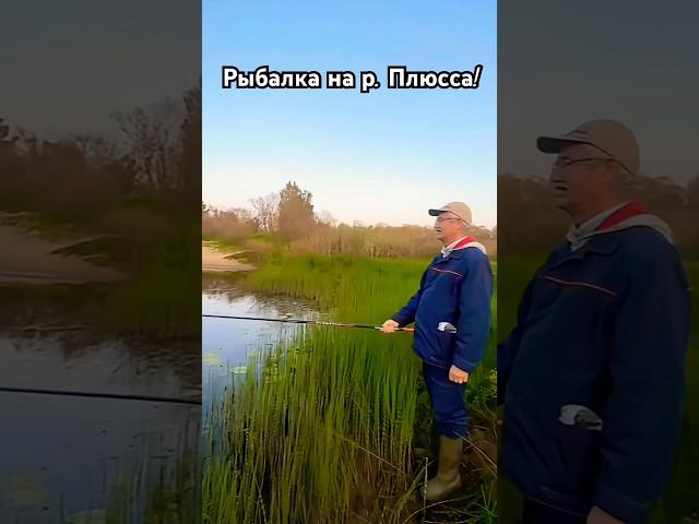 Рыбалка на реке Плюсса, Псковская область!
