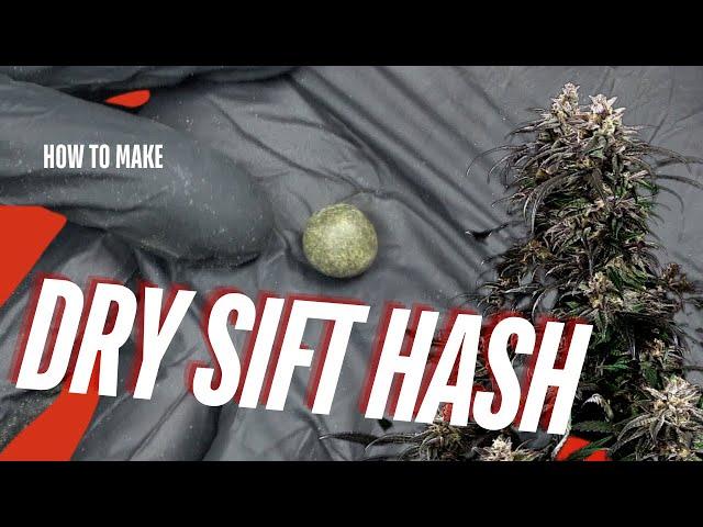 Turning Lemon Shining Silver Haze Trim into Premium Hash - Cannabis Cultivation