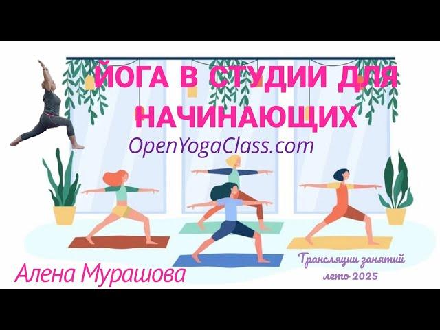 Хатха Йога + МФР 1 час I Великие Луки студия Акцент I занятие в прямом эфире 20250602!