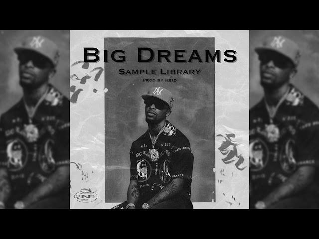 [15+] {FREE} Emotional Sample Library "Big Dreams" (Toosii, Rod Wave) | Loopkit - Sample Pack