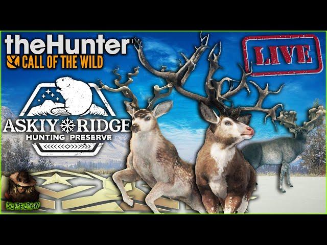 612 Bucks Into The Great One Mule Deer Grind! Things Are POPPING OFF! Call of the wild