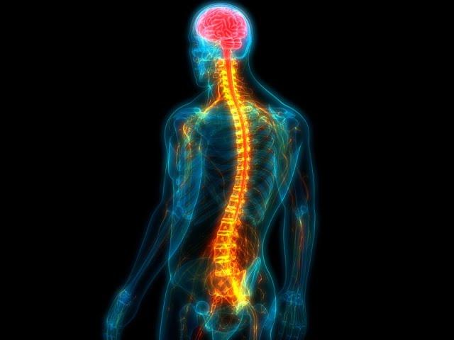 Spinal Cord Implants May Allow Paralyzed People to Walk |Medical Technology | Technologyscent