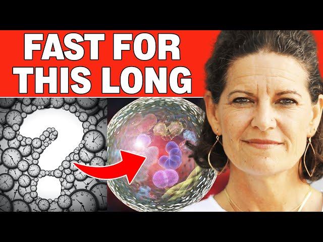 Autophagy Fasting: How Long Do You Need to Fast For Autophagy?