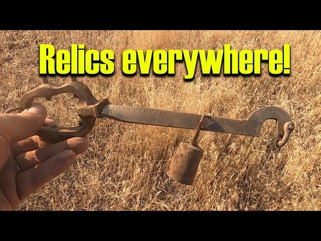 Relics everywhere!  Going back to an old homestead to metal detect. Ep 224