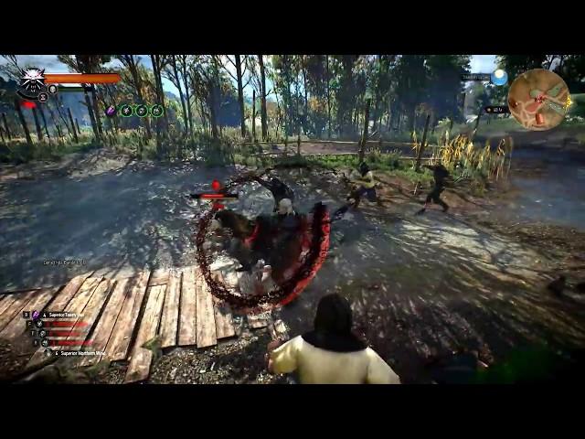 The Witcher 3 Longest Continuous Whirl  - Awesome Blood Trails!