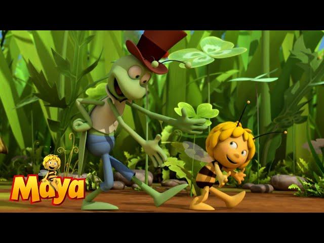 The Bee Dance - Part 2 - Maya the Bee 