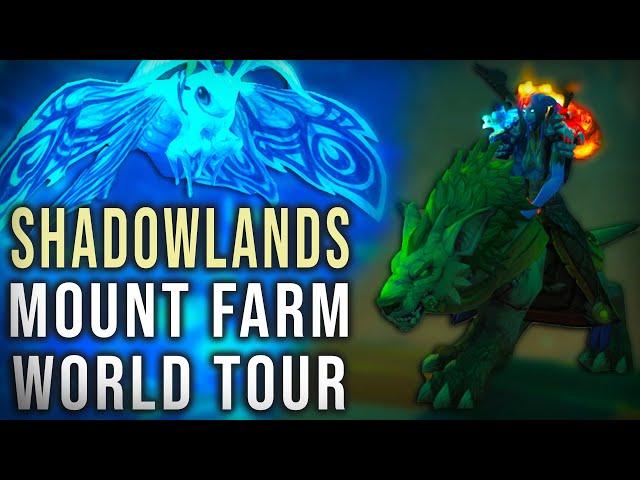 WoW Mount Farm World Tour - Shadowlands - Maldraxxus/Ardenweald