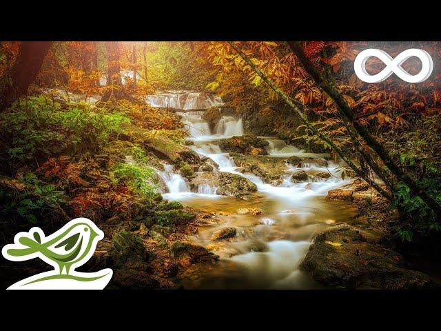 Mysterious Fantasy Music • Peaceful Harp & Flute Music with Birds Singing