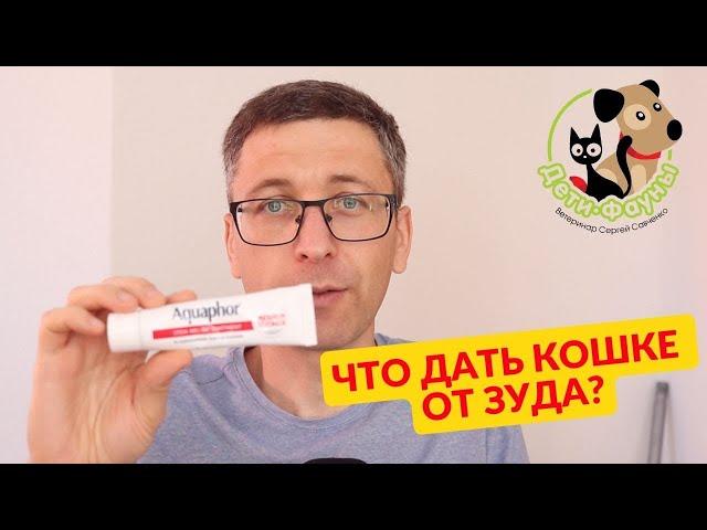 Кошка чешется, что ей можно дать? 3 препарата от зуда у кошки и собаки