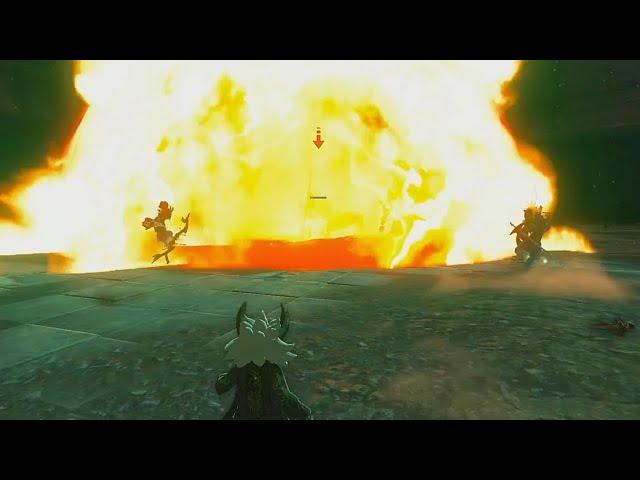 colosseum lynel battle, but i let the sages do all the work