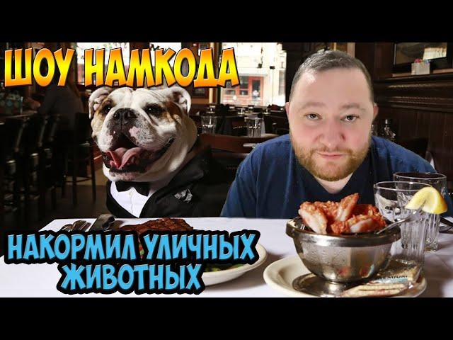 Шоу Намкода - 5 Покормить уличных животных