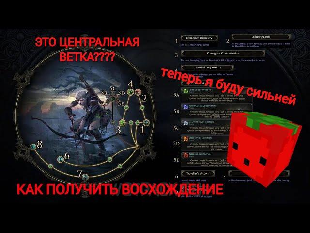 POE2 как получить восхождение, лаба, Ascendancy, ассенданси 1 2 3 4, профессия path of exile 2