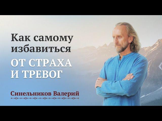 Как пройти свой жизненный путь без страха и тревог/ Валерий Синельников