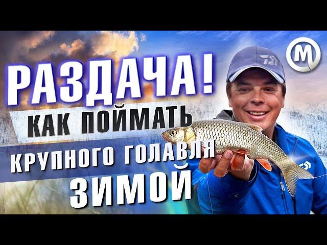 Рыбалка зимой! Как поймать крупного голавля?