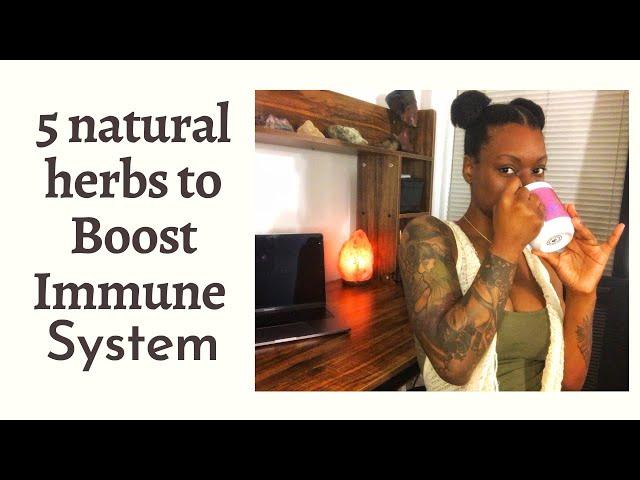 5 Natural Herbs To Boost Immune System