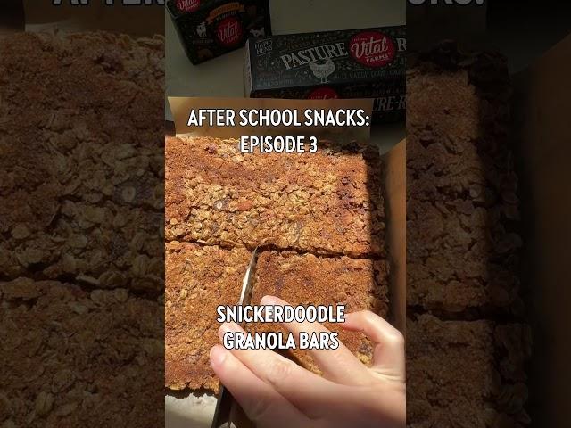 A granola bar that tastes like a snickerdoodle cookie?? Yes, pls 