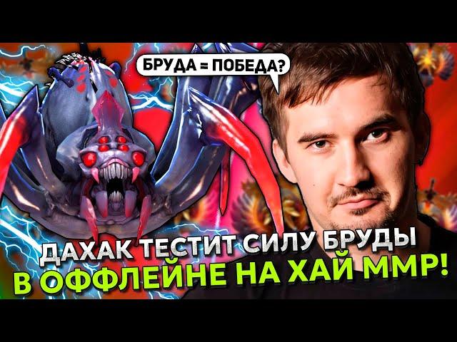 ДАХАК ТЕСТИТ СИЛУ БРУДЫ В ОФФЛЕЙНЕ НА ХАЙ ММР! | DAXAK BROODMOTHER STREAM DOTA 2