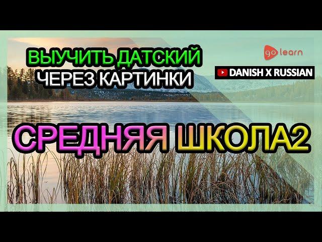 Выучить датский через картинки |датский словарь средняя школа2 | Golearn