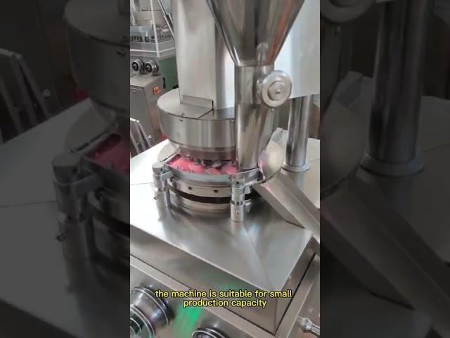 zp17 rotary tablet press machine