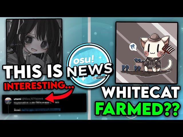 Utami Finally Responded to Me? WhiteCat Farm, osu! Drama, Chicony Break, Vortex, osu! News.