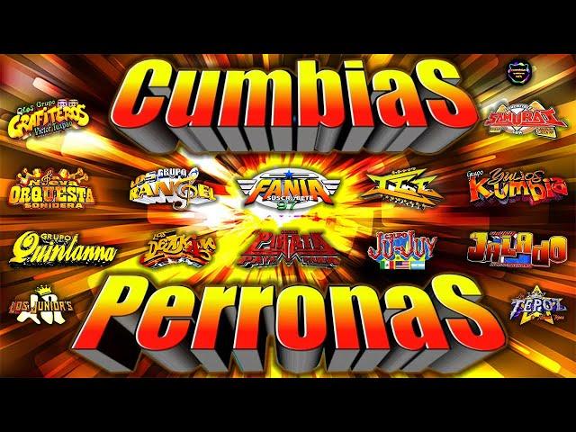 LAS MEJORES DE CUMBIAS PERRONAS SONIDERAS DEL 2024MIX CUMBIAS PARA BAILAR TODA LA NOCHE