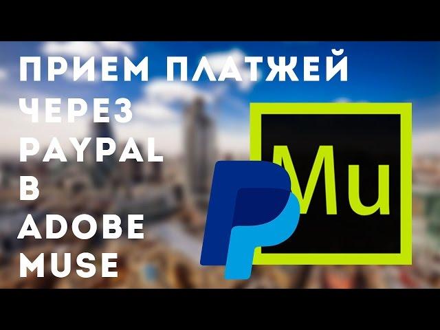 Прием платежей через PayPal в Adobe Muse