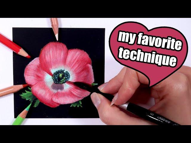 How to Draw Delicate Anemones (Botanical Illustration with Caran d'Ache Luminance Colored Pencils)