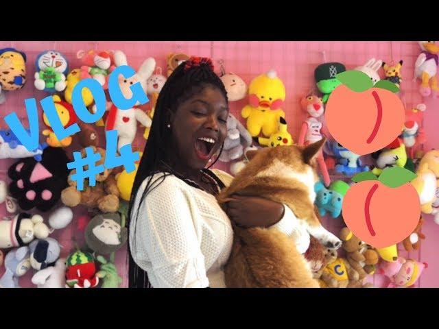 Black Girl in China | Vlog #4: Shanghai | Corgi Cafe, Tianzifang, & Shanghai Art Museum