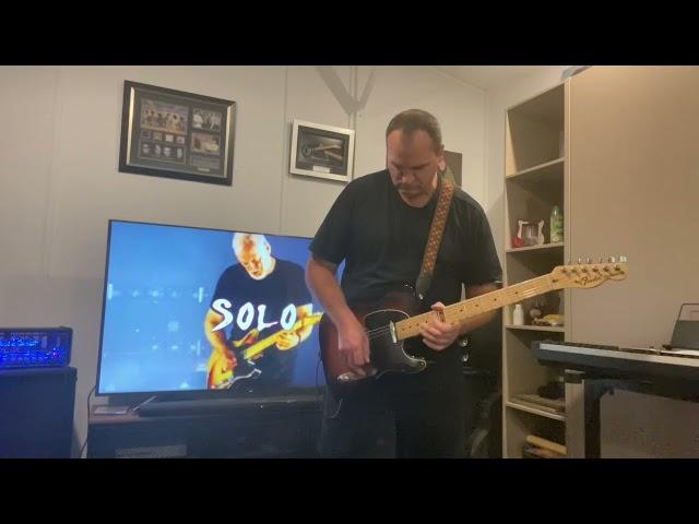 “Hey Hey Rise Up” by Pink Floyd (guitar cover)