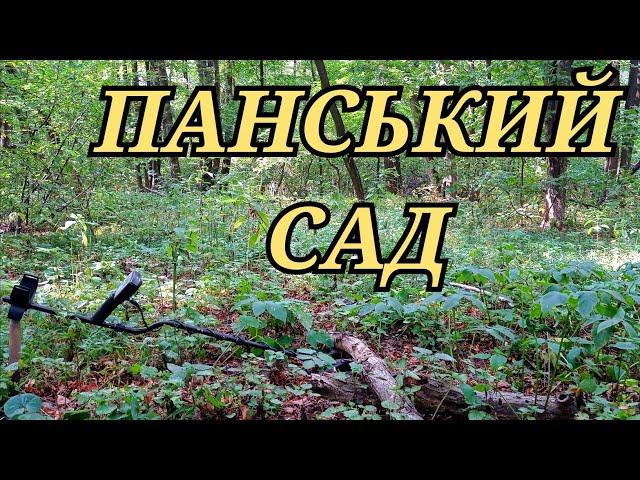 ПАНСЬКИЙ САД в СТАРОМУ ЛІСІ▪️КОП 2024 УКРАЇНА▪️КОП В ЛІСІ▪️ПОЗИЦІЇ ПО 2 СВІТОВІЙ ВІЙНІ▪️WW2▪️