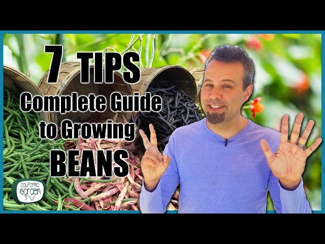 7 TIPS for Growing Beans // Complete Growing Guide