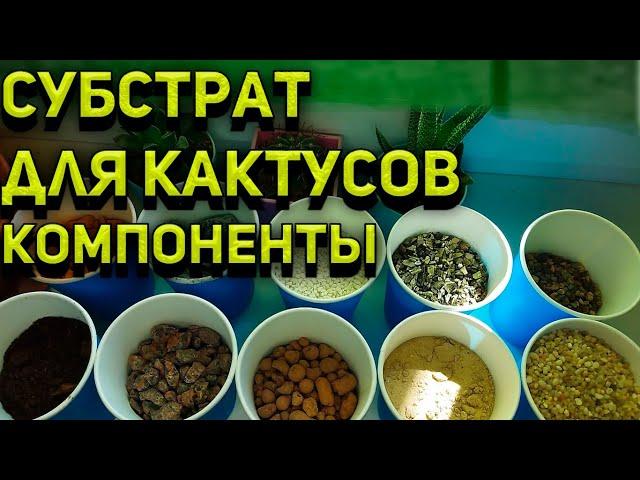 Грунт для кактусов и суккулентов. Компоненты субстрата. Уход за кактусом.Субс