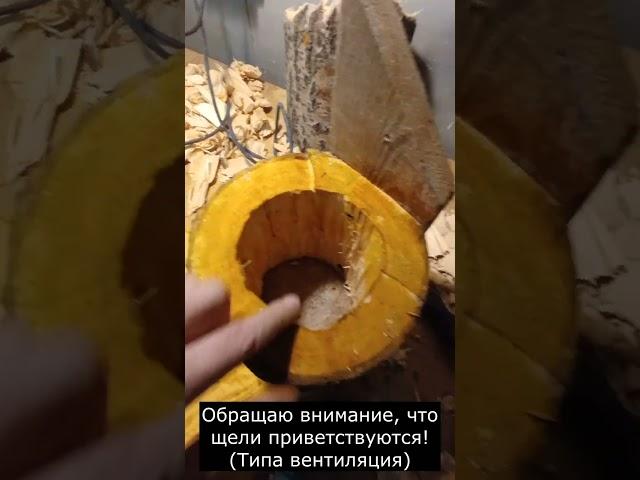 Дуплянка из осины