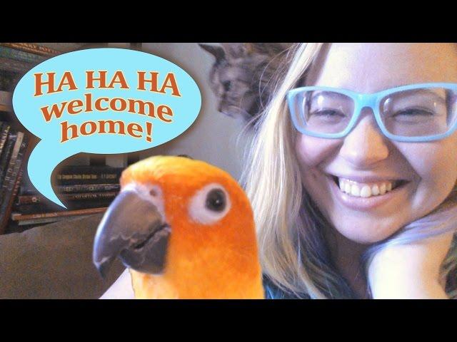 My Bird Gives Kisses and Giggles to Welcome Me Home