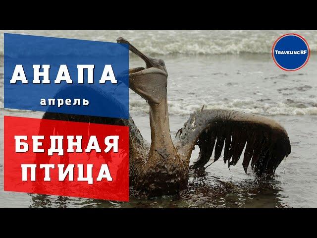 Сильный выброс нефти в Анапе | Анапа 2022.