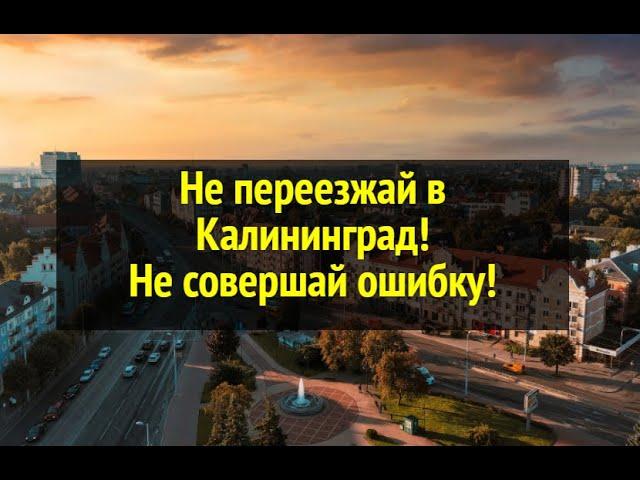 Не переезжай в Калининград. Не совершай ошибку