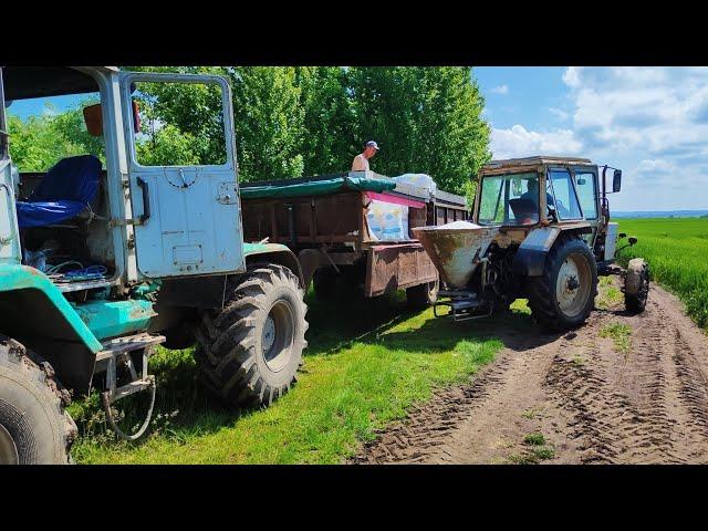 ПІДЖИВЛЯЄМОРосипаєм САЛІТРУ під пшеницюРизикуємо всім.Ціна буде